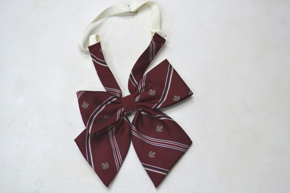 ����� �ٱ۹����ع� �֥쥶���������ƥ�������  ��NA0626