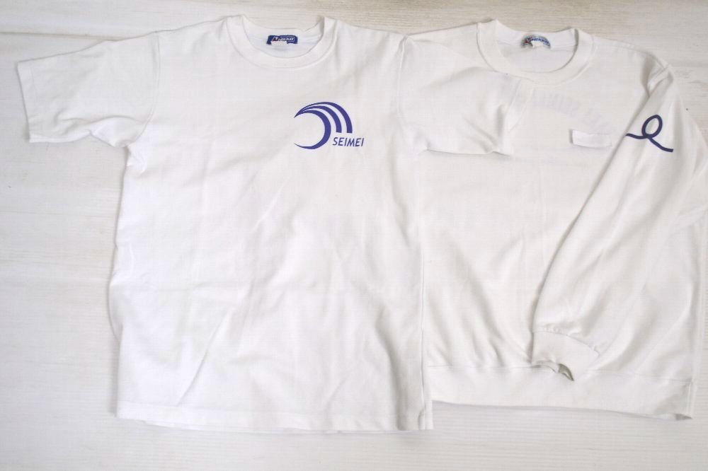 ���ϸ�Ω ���������������ع� ���㡼�����������å�