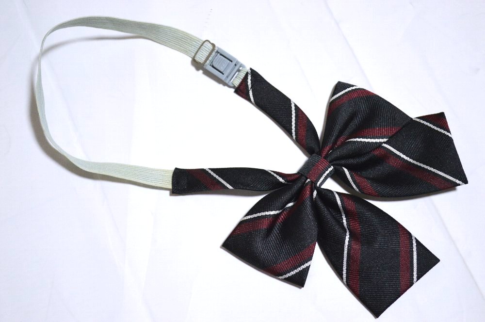 �����Ω ��ʿ�����ع� �֥쥶���߲��� ��ܥ��T4508