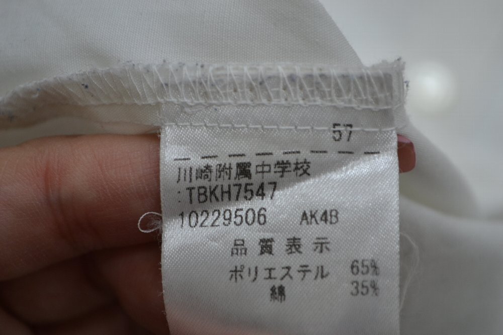 ����� ����Ω�������ع���°��ع� Ĺµ�֥饦�� ����5909