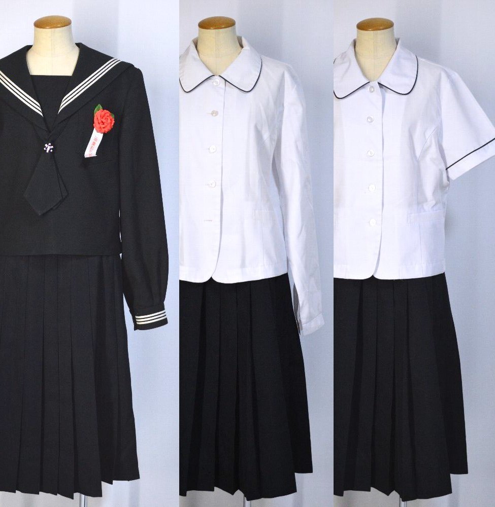 �礭�� �Ų��� 3�饤��������顼�߲������ ���� ���� MICHEL KLEIN��T5291