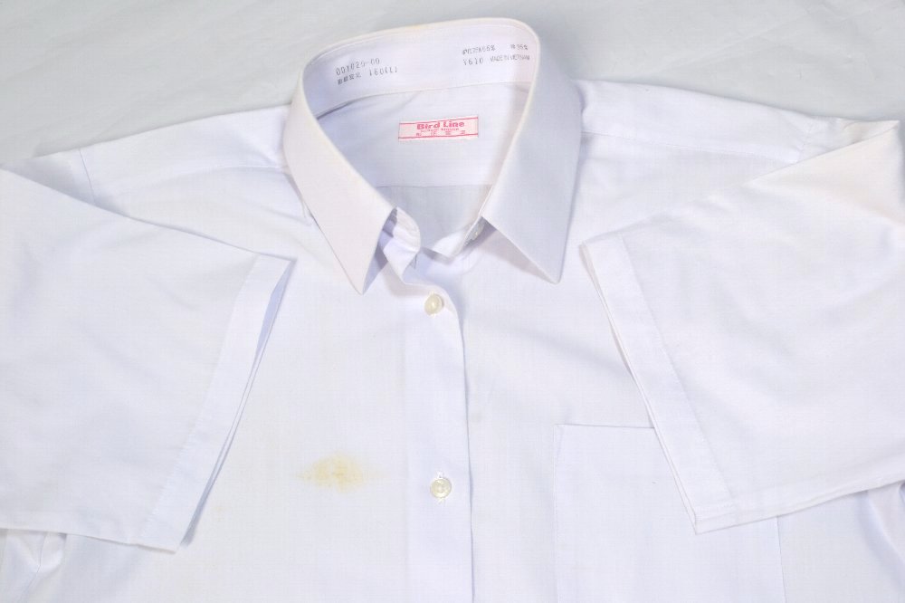 ����� ʸ�ڽ��ҹ����ع� �֥쥶���߲�����T2539