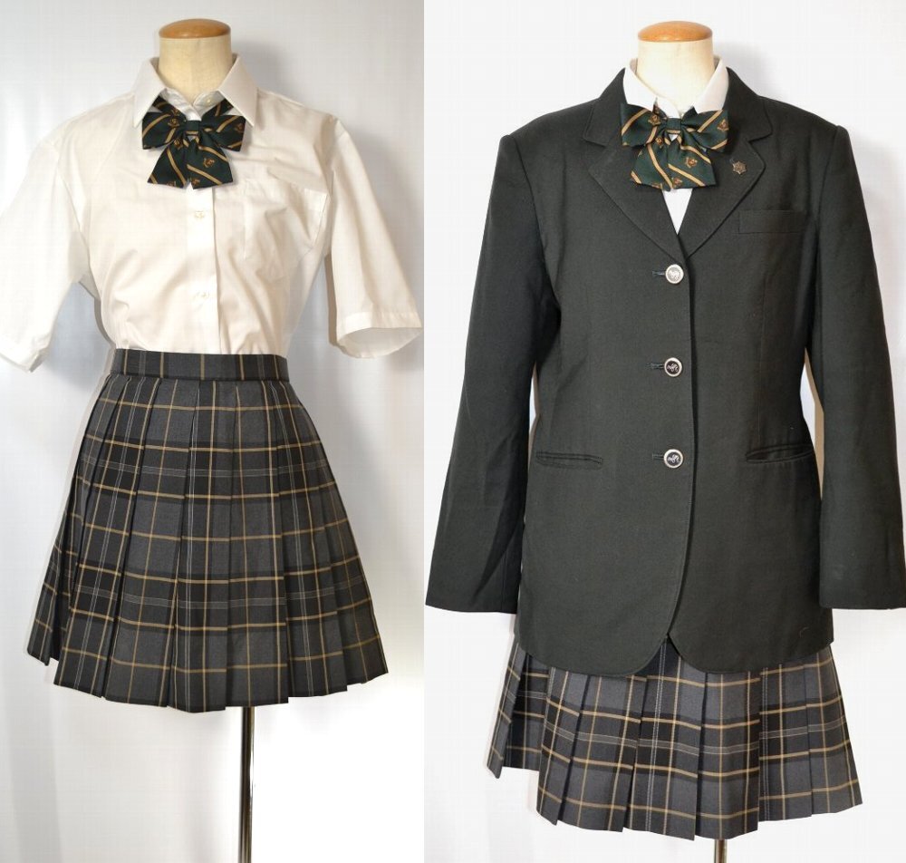 �����Ω �������ع� �֥쥶���߲��� ��ܥ� ����