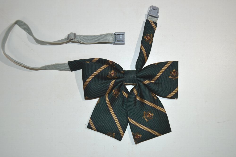 �����Ω �������ع� �֥쥶���߲��� ��ܥ� ����