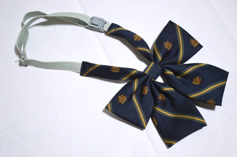 �����Ω ��������ع� �֥쥶������ ��ܥ��T4235