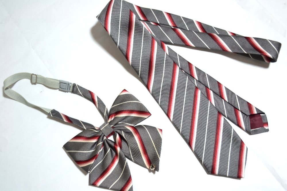 �����Ω ��������ع� �֥쥶���߲��� ��ܥ� �ͥ�������T1597