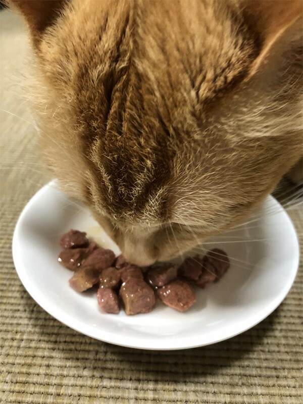 猫】almonature アルモネイチャー ファンクショナル・キャット避妊