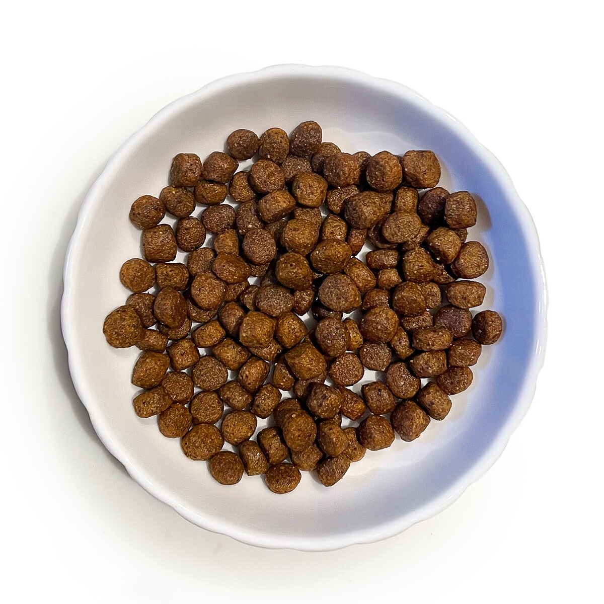 ドッグフード Ken 犬】Kennel's Favourite ケンネルズフェイバリット 犬用 プチ