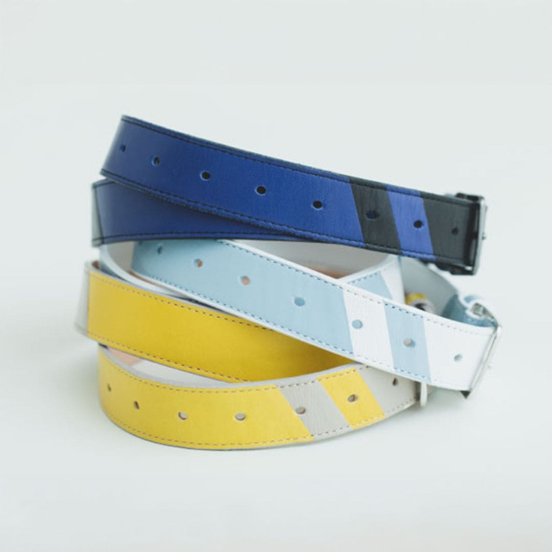 配色ストライプベルト / Color Blocked Stripe Belt