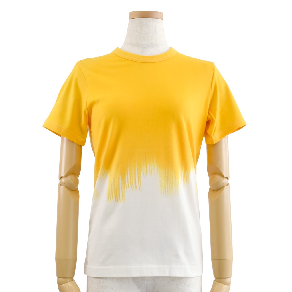 ハケ染Tシャツ