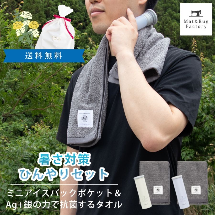父の日 早割15％OFF】ミニアイスパック ポケットとAg+銀の力で抗菌する