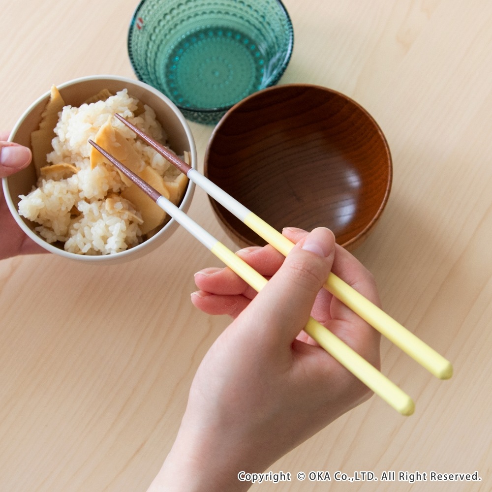 capi カフェカラー お箸 （ 日本製 箸 食洗機対応 すべり止め パステル