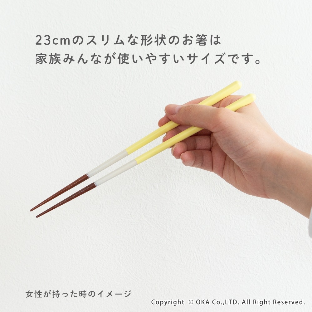 capi カフェカラー お箸 （ 日本製 箸 食洗機対応 すべり止め パステル