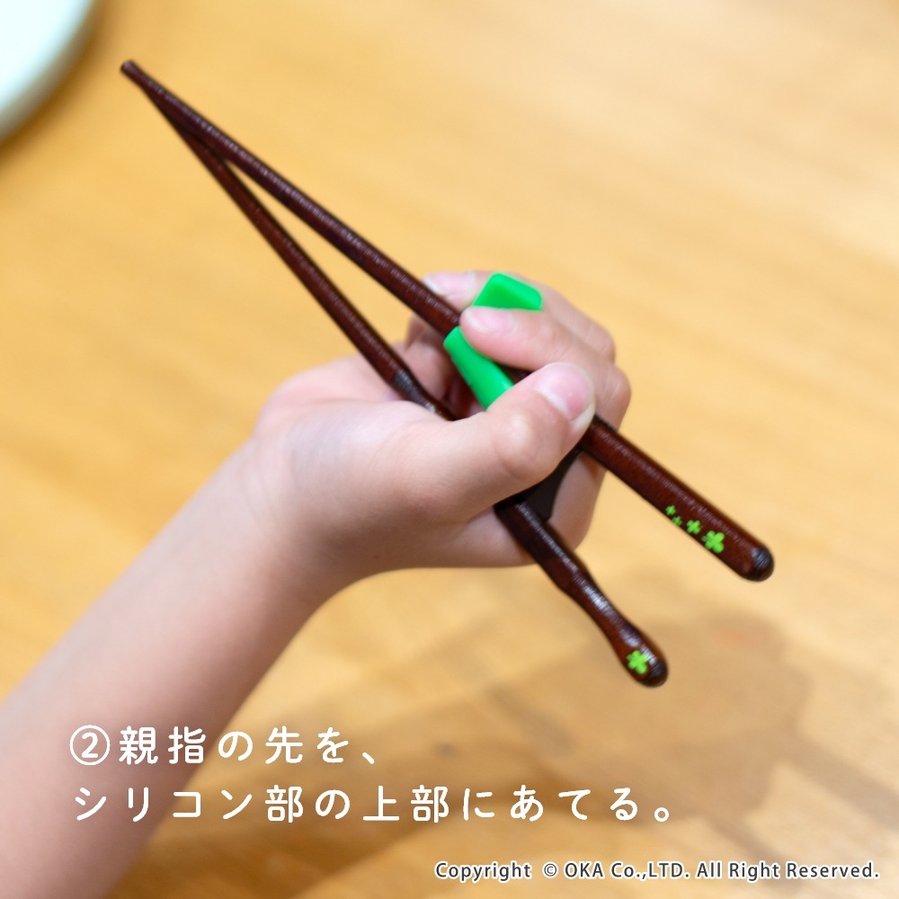 ちゃんと箸 お箸 （ キッズ用 矯正箸 右きき用 しつけ箸 箸使い 日本製