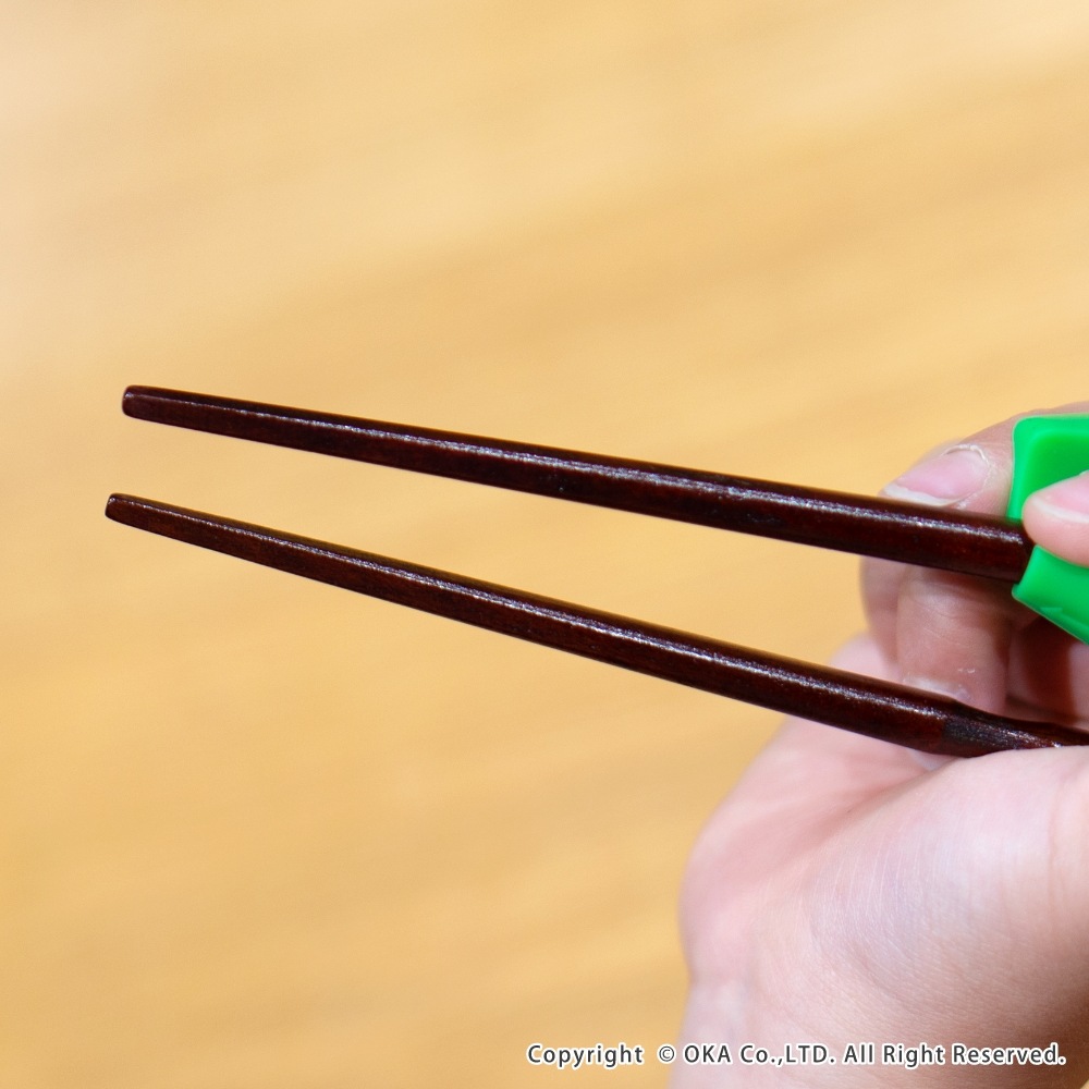 ちゃんと箸 お箸 （ キッズ用 矯正箸 右きき用 しつけ箸 箸使い 日本製