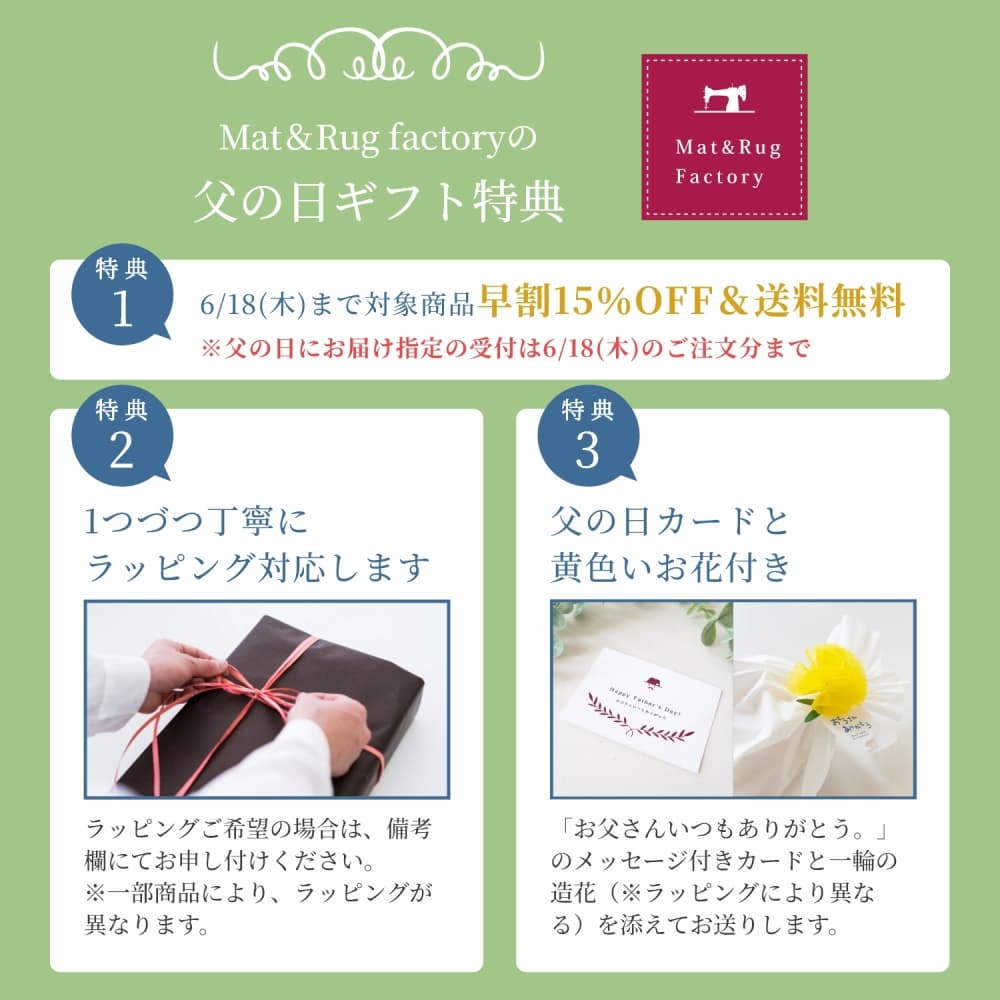 【まさまさ】かき氷資材セット 父の日 早割15％OFF】ミニアイスパック ポケットとAg+銀の力で抗菌する
