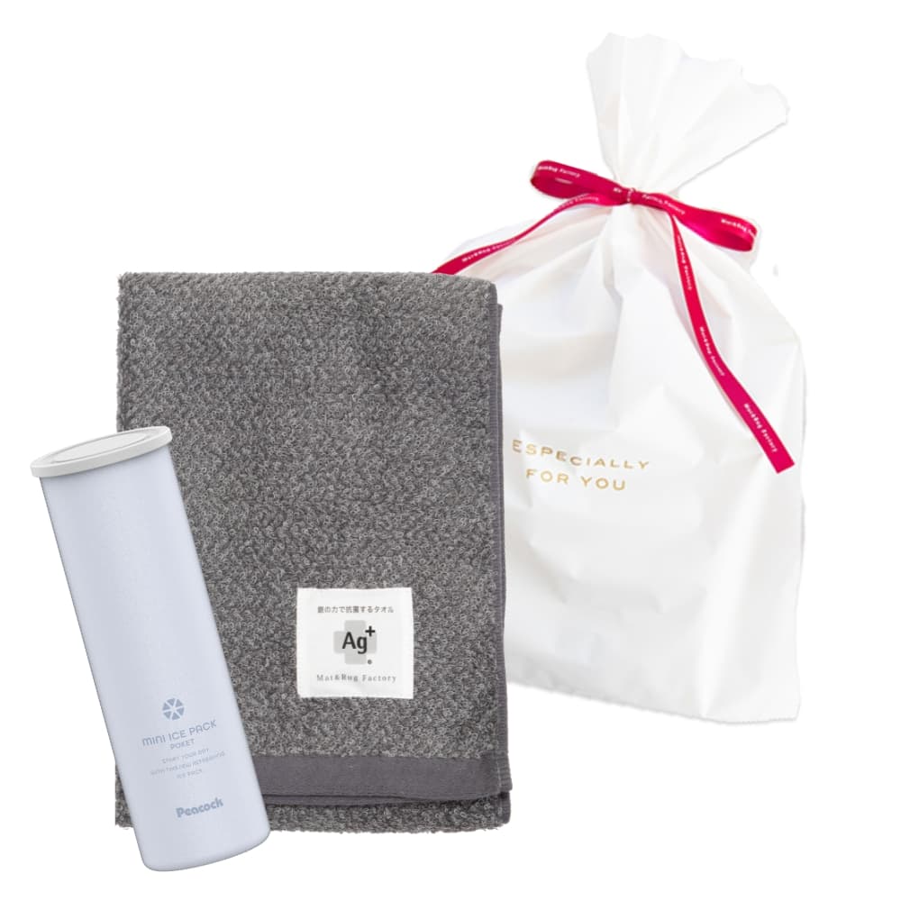父の日 早割15％OFF】ミニアイスパック ポケットとAg+銀の力で抗菌する