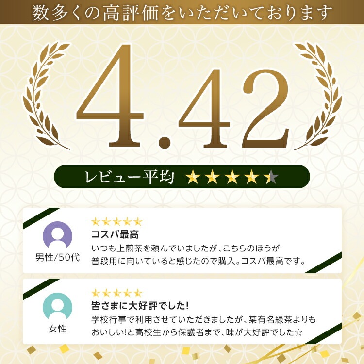 松田園（MATSUDAEN）インスタント 煎茶NS 粉末茶 パウダー茶 さっと溶ける 業務用  給茶機対応 国内生産 国産茶原料 インスタント茶