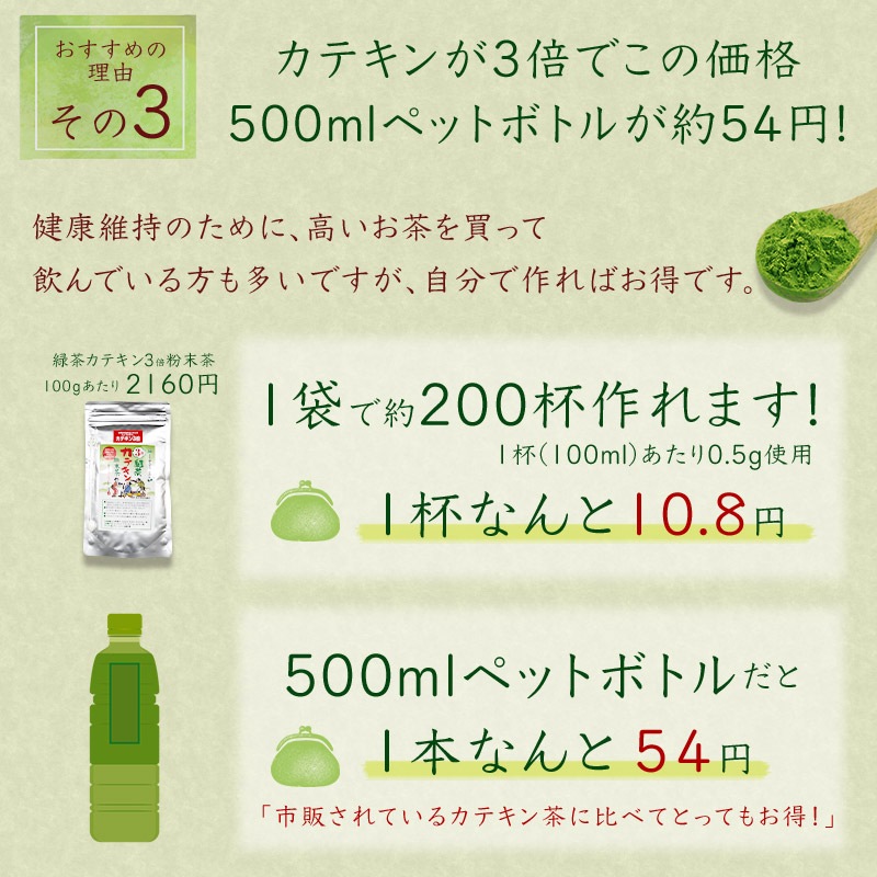 緑茶カテキン3倍粉末茶 100g詰×1 粉末緑茶 粉末茶 粉砕茶 送料無料 エピガロカテキンガレート