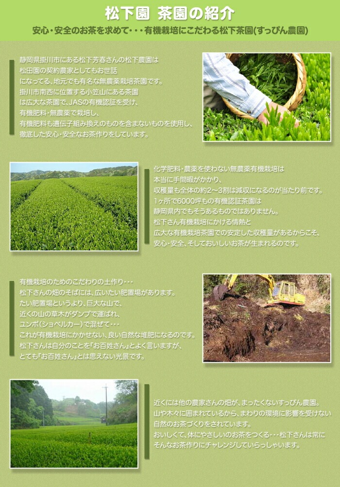 オーガニック有機抹茶 PUN ぷん 50g詰×1 農薬化学肥料不使用 送料無料