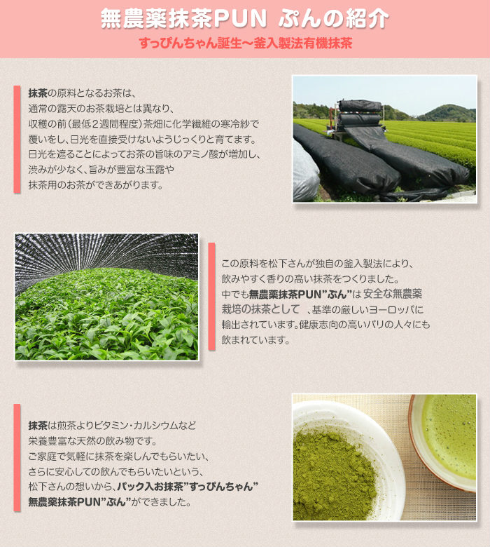 オーガニック有機抹茶 PUN ぷん 50g詰×1 農薬化学肥料不使用 送料無料