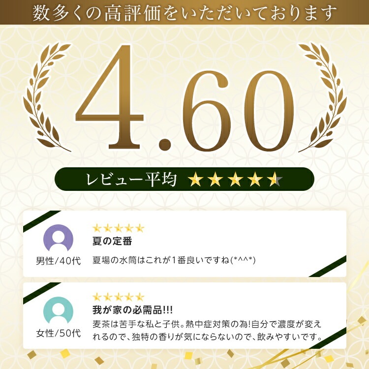 松田園（MATSUDAEN）インスタント麦茶 250g×10 ノンカフェイン 粉末茶 パウダー茶 さっと溶ける 業務用 給茶機対応 国内産茶原料100％使用 国内生産 インスタント茶