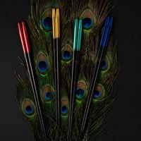 輪島孔雀 23cm|希望を描く、色彩の一膳