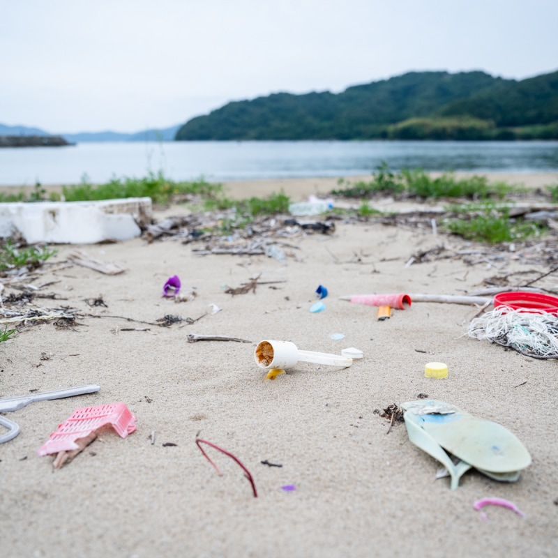ocean 22.5cm 大人用 食洗対応箸