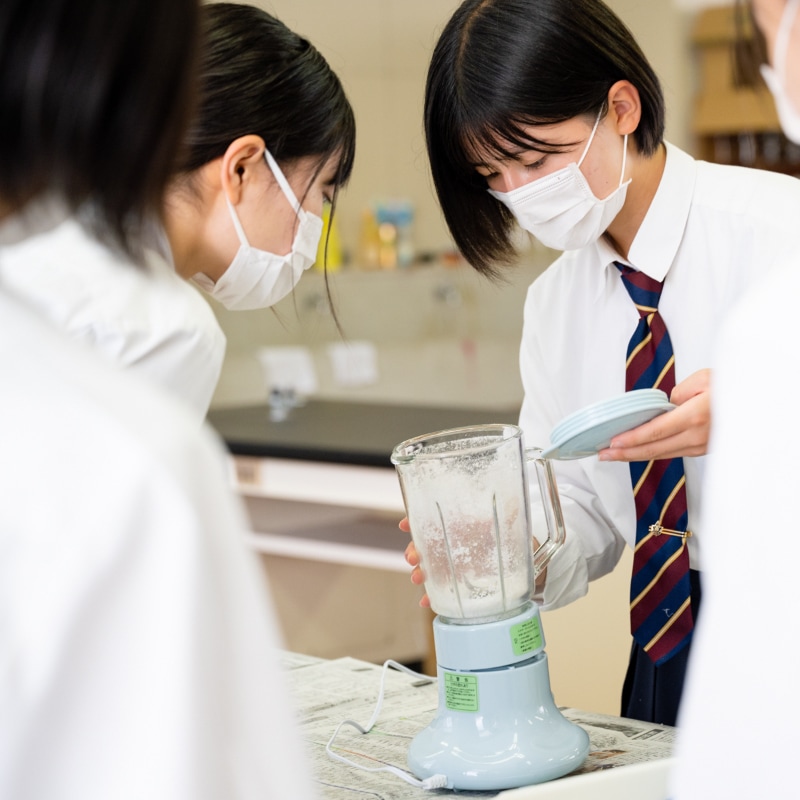 ocean 22.5cm 大人用 食洗対応箸