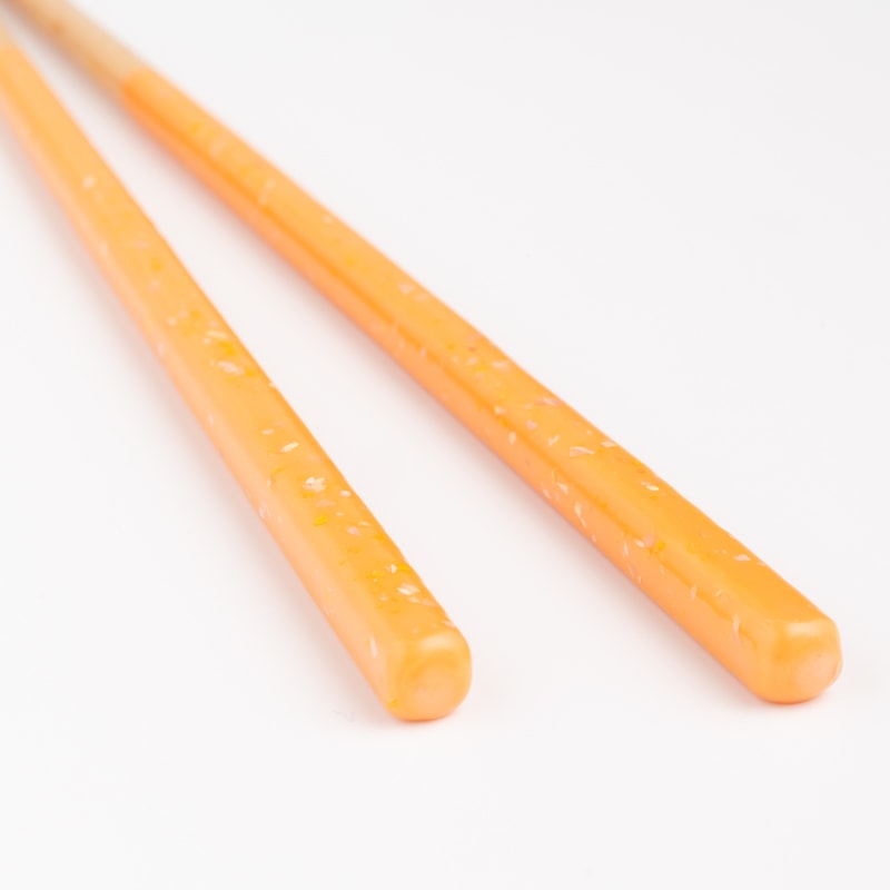 ocean 22.5cm 大人用 食洗対応箸