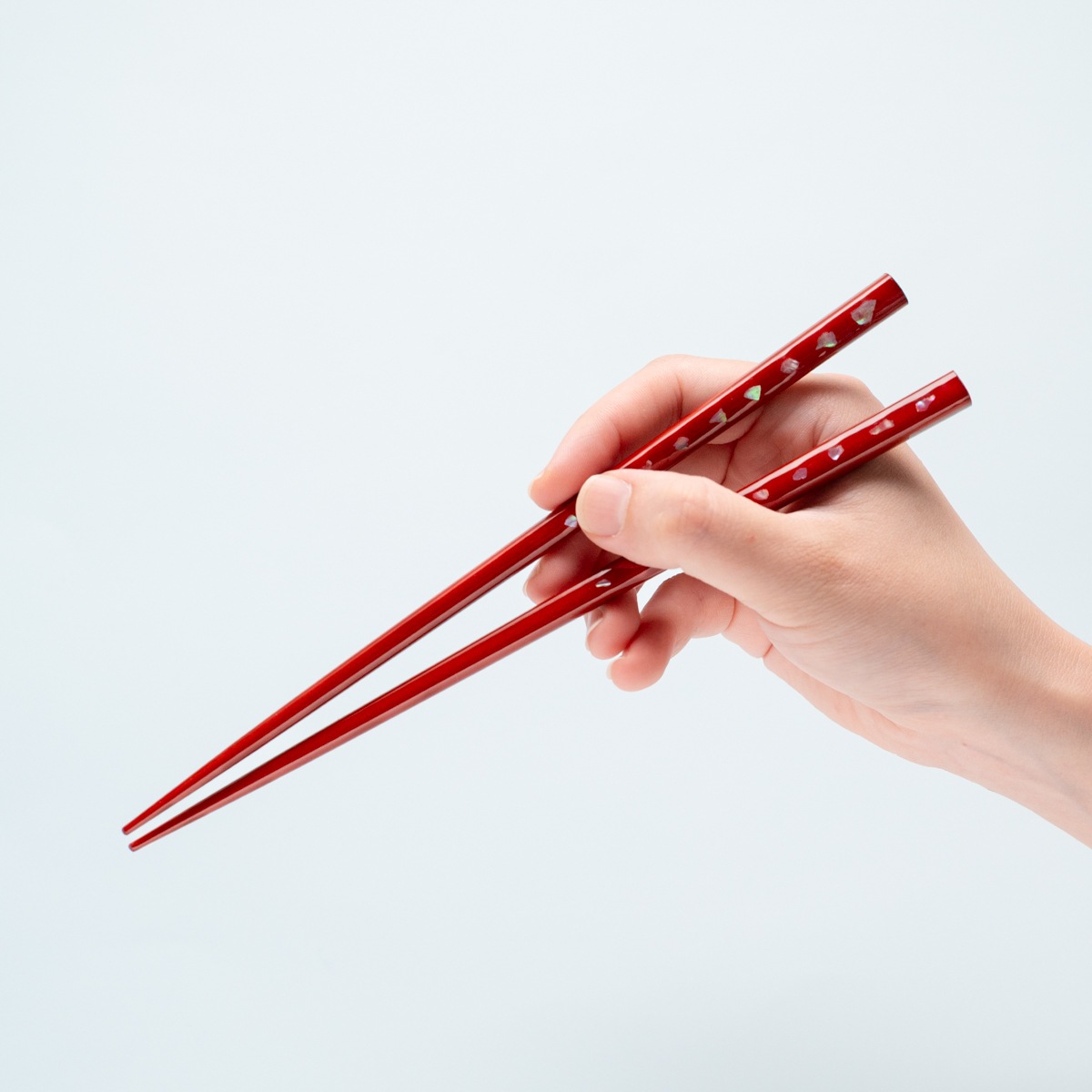 海の音 貝牡丹ペア　落雁貝箸置付