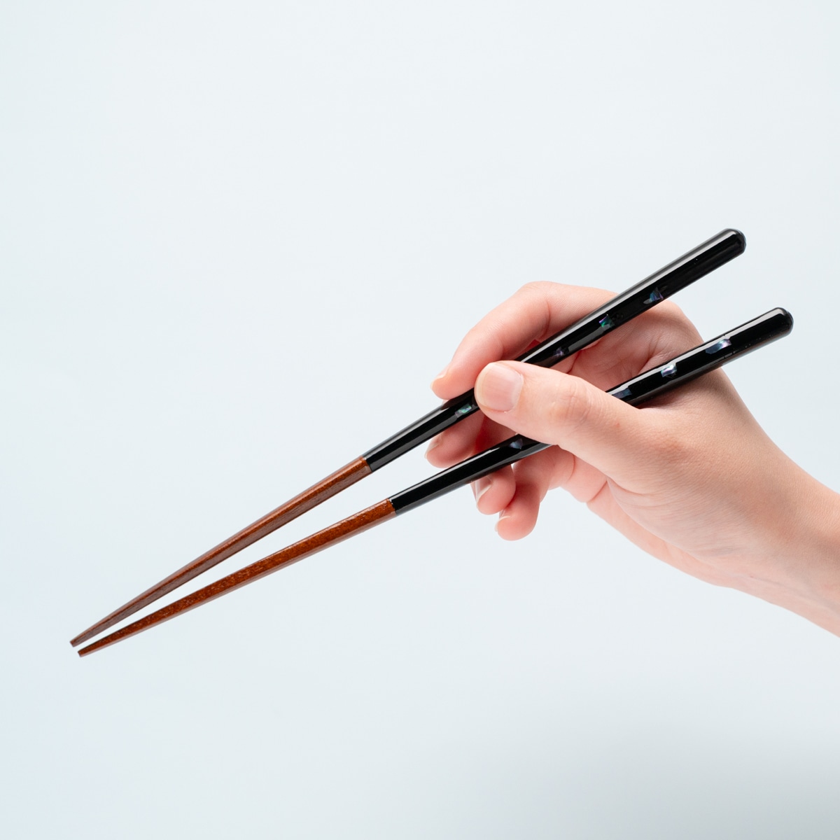 海の音 貝しおりペア 落雁貝箸置付