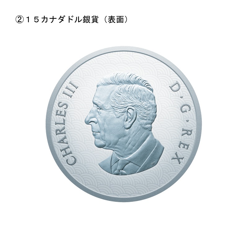 ǯϿ޵ǰ󡡣ġߣ糧å