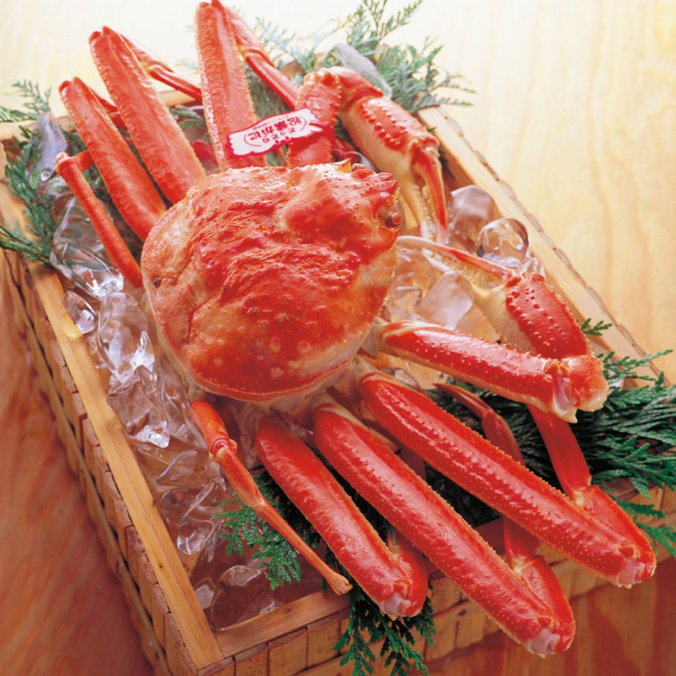 最高級 浜茹松葉がに(雄) 中サイズ
