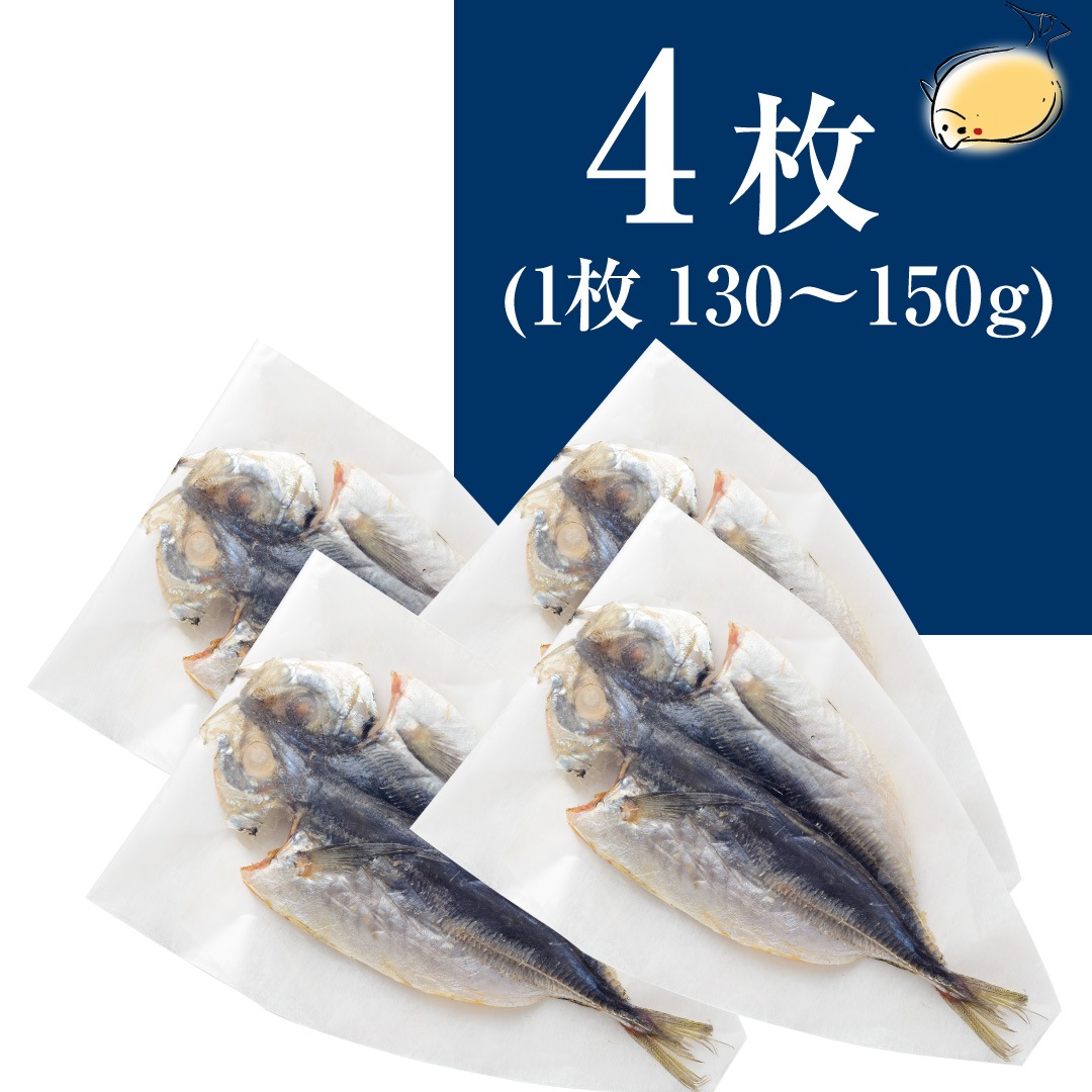 境港産 開きあじ