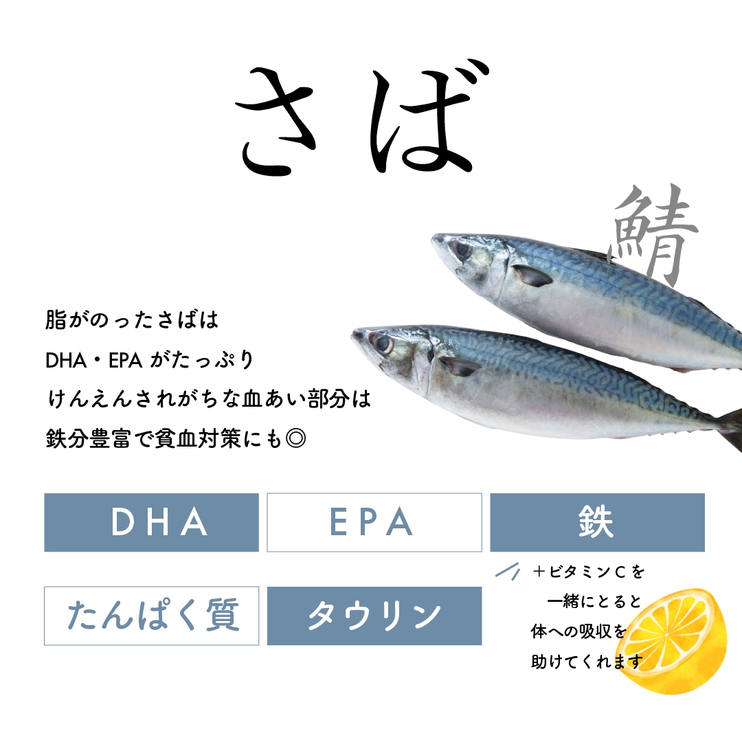 旨塩さば(4切入)