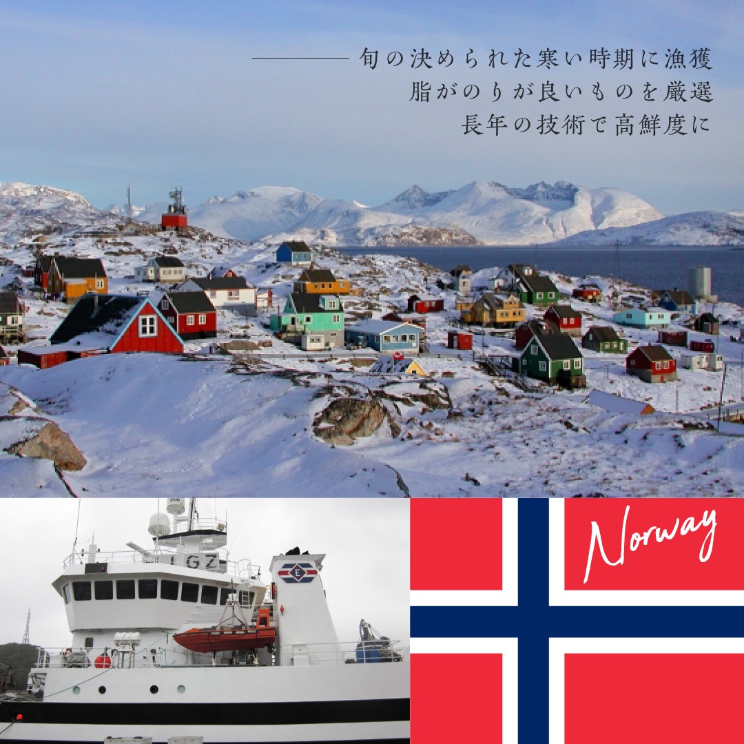 初回限定 旨塩さば(8切入)×1セット