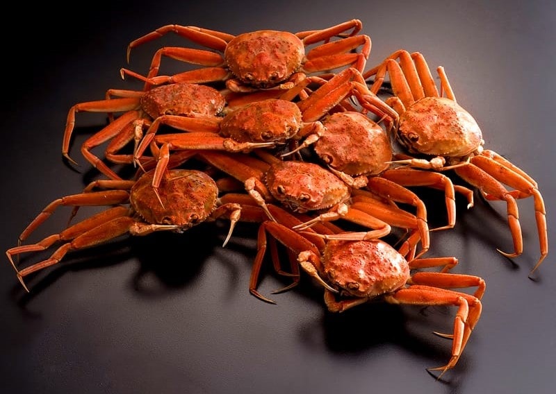 境港産 親がに（松葉がに・雌）