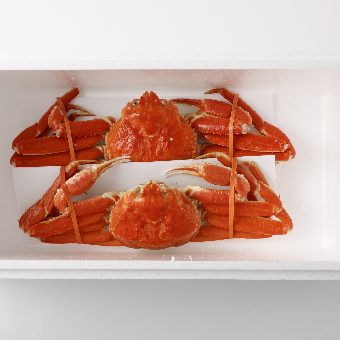 カナダ産 ボイルズワイガニ (大)