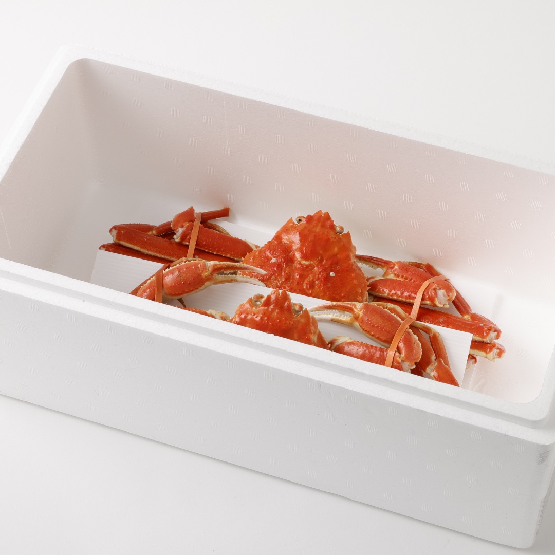 カナダ産 ボイルズワイガニ (大)