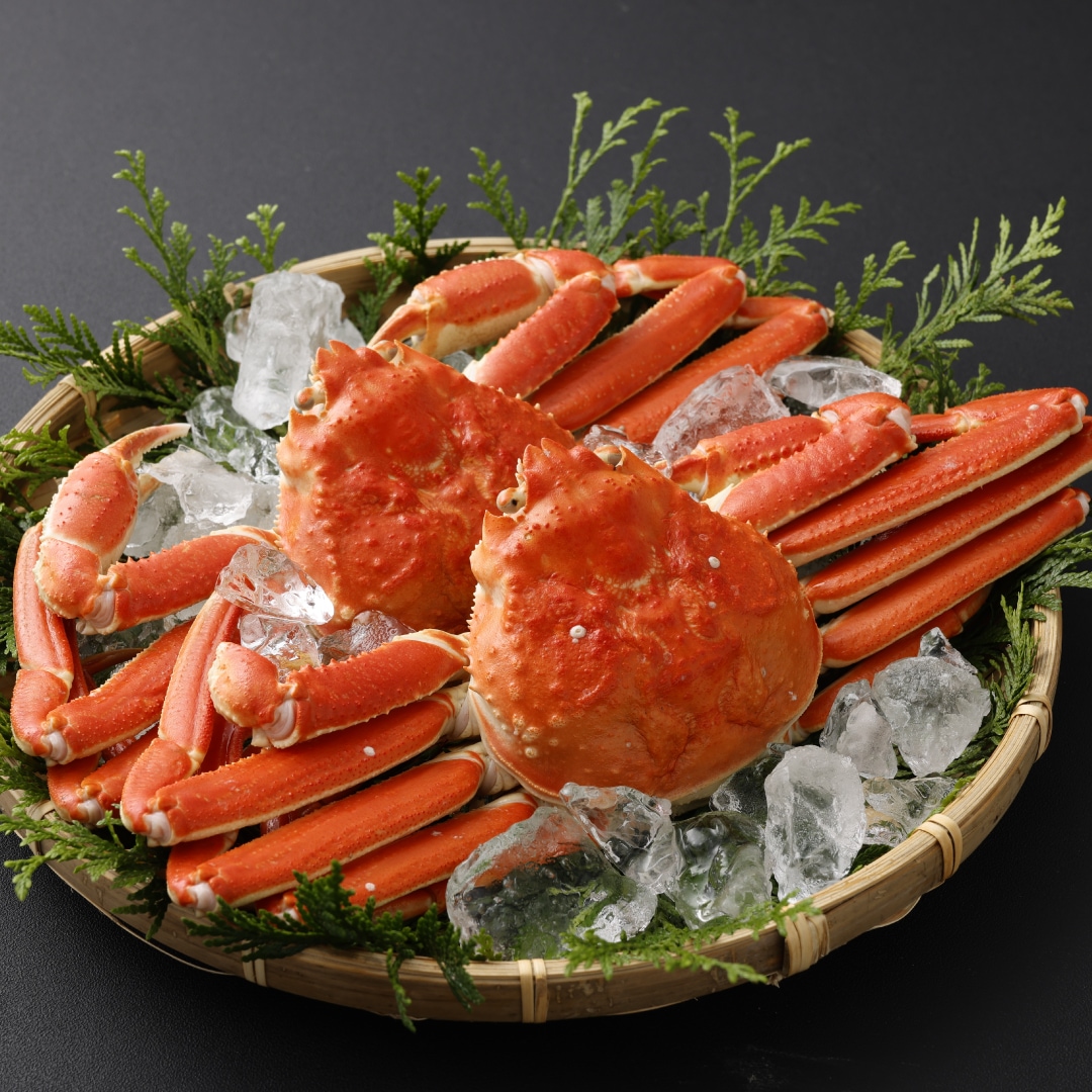 カナダ産 ボイルズワイガニ (大)