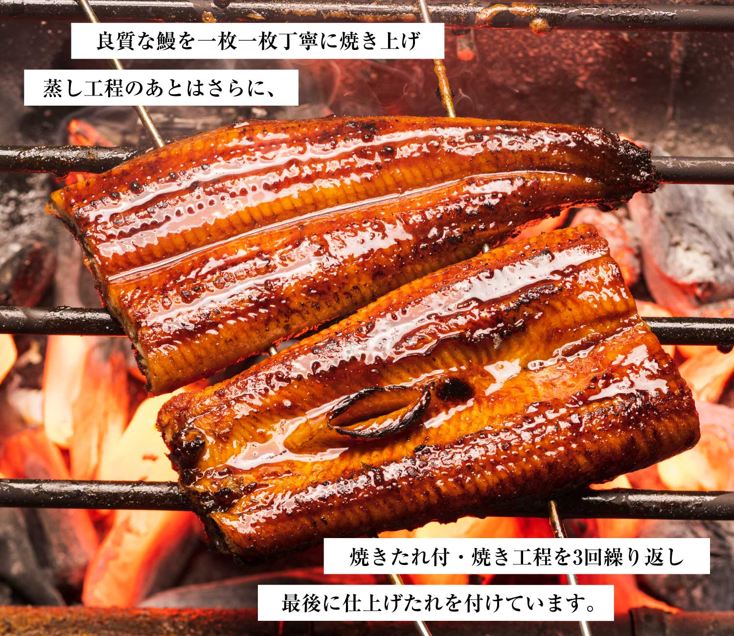 鹿児島県産 鰻の蒲焼き【特大1枚】（タレ付き）