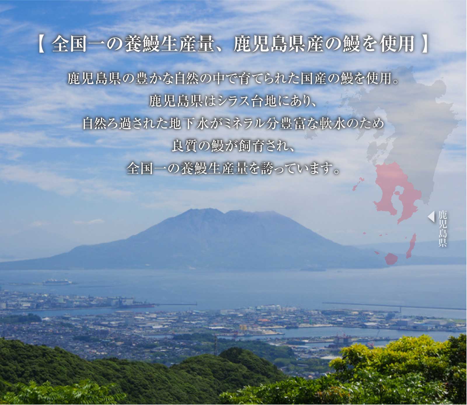 鹿児島県産 鰻の蒲焼き【特大1枚】（タレ付き）