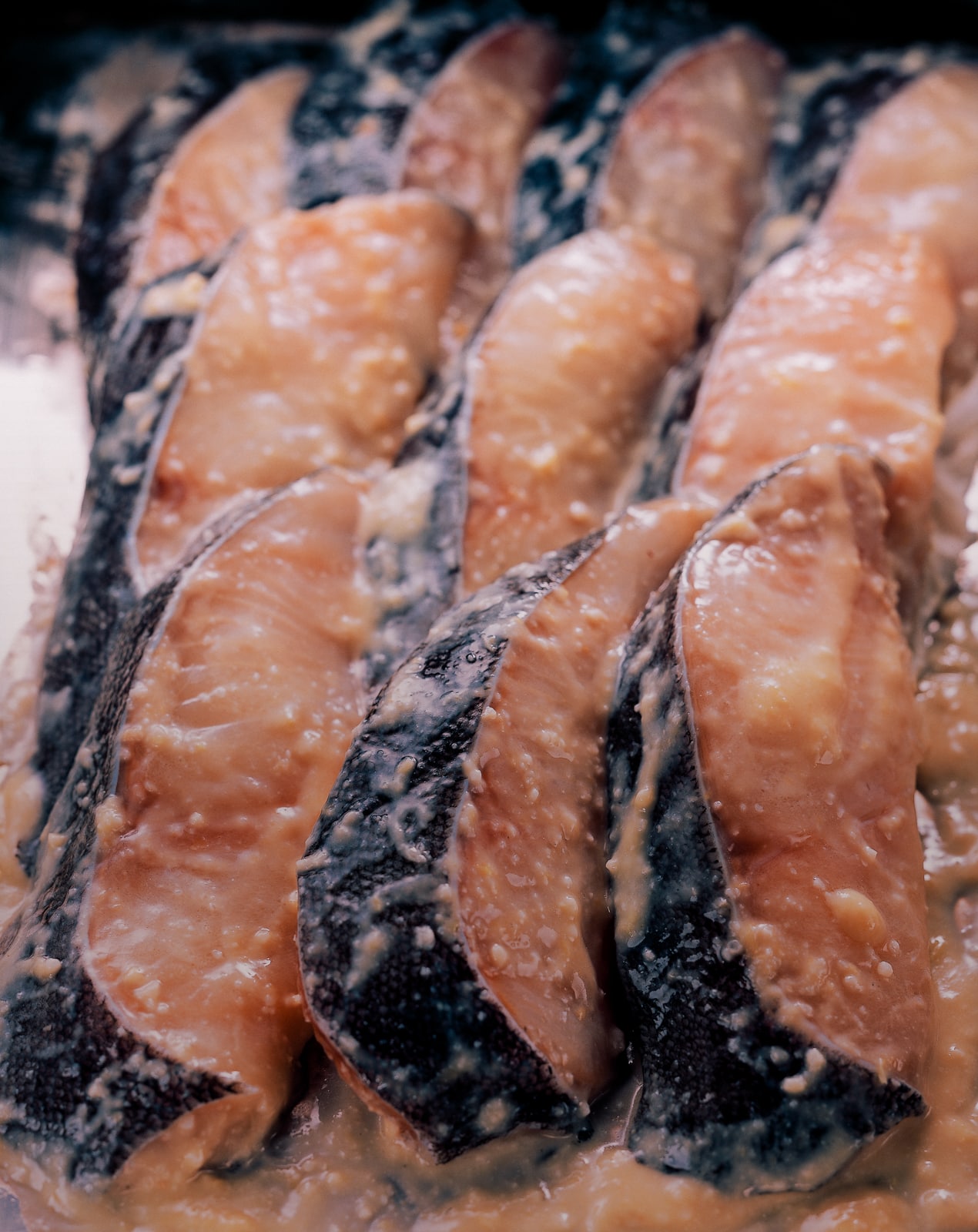 松乃江特選 西京漬詰合せ5切【送料無料】