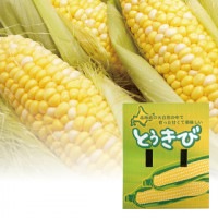 【まごころ便期間限定】【配達日指定不可】北海道産 とうもろこし 10本【のし対応】【出荷予定:7月上旬~下旬】(出荷期間中はご注文から最短7~10日程度でのお届け予定)【支払方法:後払い不可】