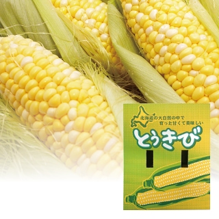 【まごころ便期間限定】【配達日指定不可】北海道産 とうもろこし 10本【のし対応】【出荷予定：7月上旬～下旬】(出荷期間中はご注文から最短7～10日程度でのお届け予定)【支払方法：後払い不可】