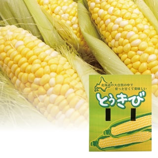 【まごころ便期間限定】【配達日指定不可】北海道産 とうもろこし 10本【のし対応】【出荷予定：7月上旬～下旬】(出荷期間中はご注文から最短7～10日程度でのお届け予定)【支払方法：後払い不可】