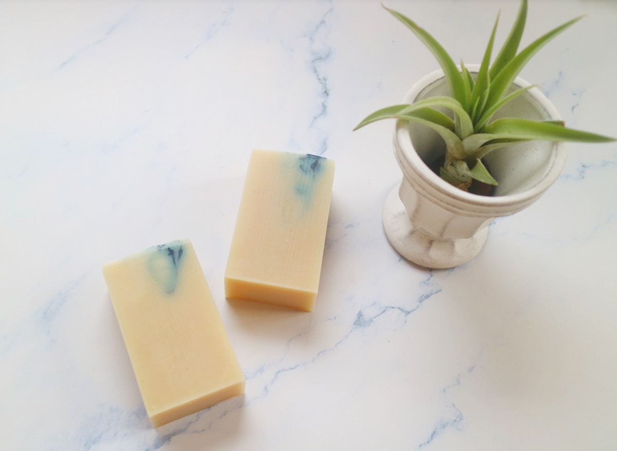 酒かす 椿（ご自宅用・会員価格あり）