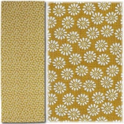 �����̤����ھ��ơä�������