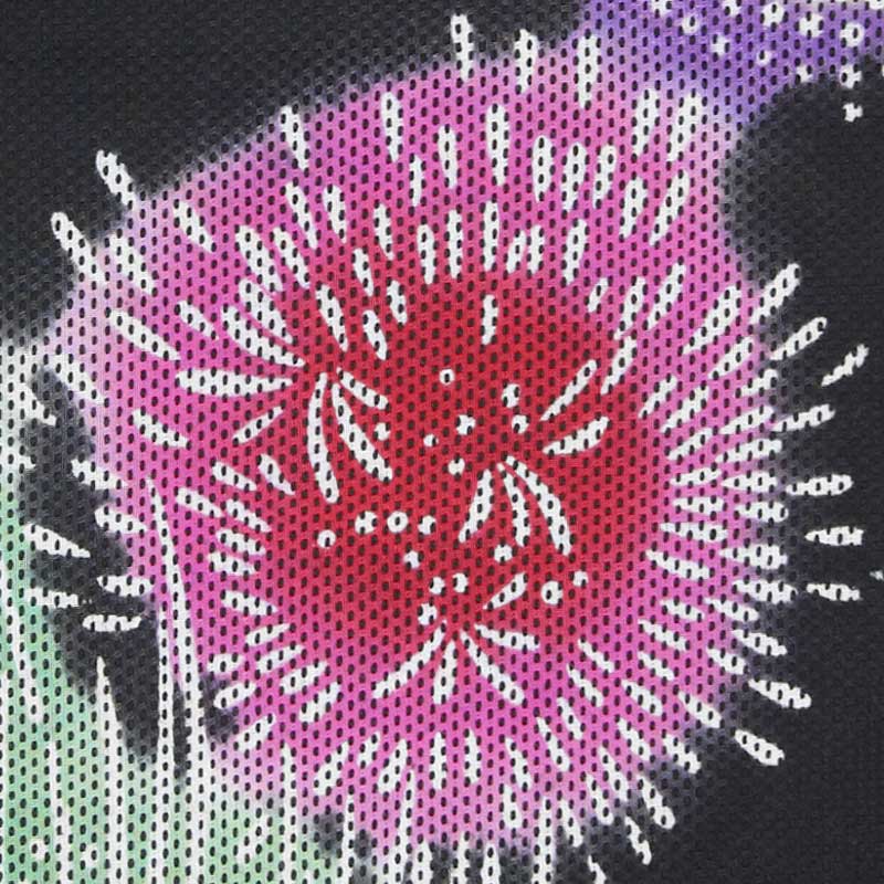 ̤ȭڲֲСäϤʤӡۻɻҡʹ